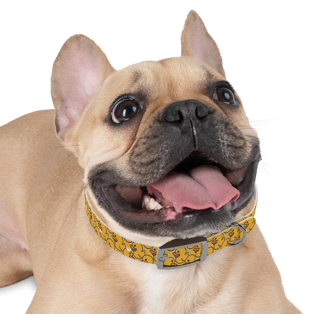 Duck Pattern Dog Collar | Variety of Sizes & Buckles Available