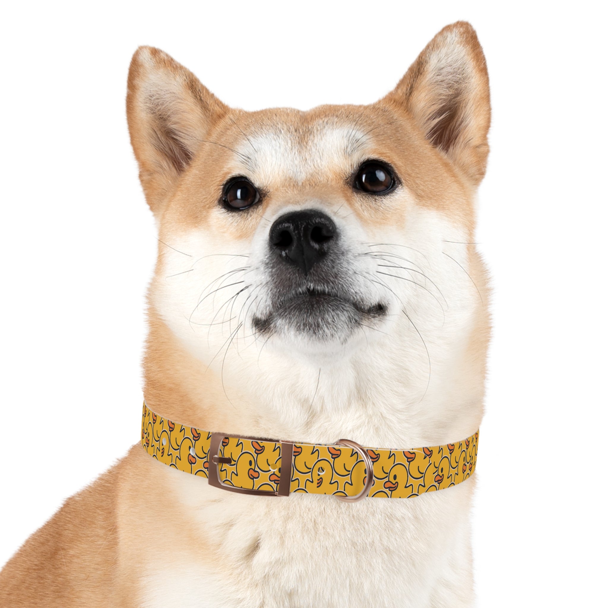Duck Pattern Dog Collar | Variety of Sizes & Buckles Available