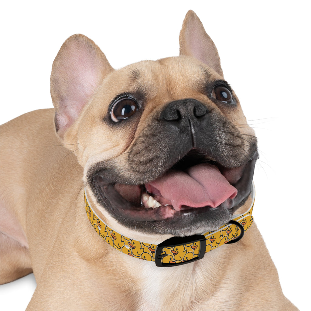 Duck Pattern Dog Collar | Variety of Sizes & Buckles Available