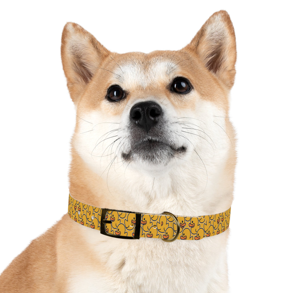 Duck Pattern Dog Collar | Variety of Sizes & Buckles Available